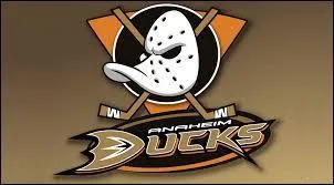Ci-contre, le logo représentant l'équipe des "Ducks" ("Canards") d'Anaheim. D'après les détails de l'image, vous n'aurez aucun mal à trouver le sport dans lequel évolue cette équipe :