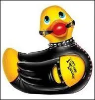 Parmi ces propositions, une seule ne correspond pas à l'un des cris du canard, laquelle ?