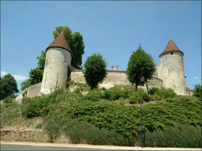 Vous avez décidé de passer vos prochaines vacances à Dun-sur-Auron, où les passerez-vous ?