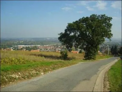 La ville d'Anse est une ville du département :