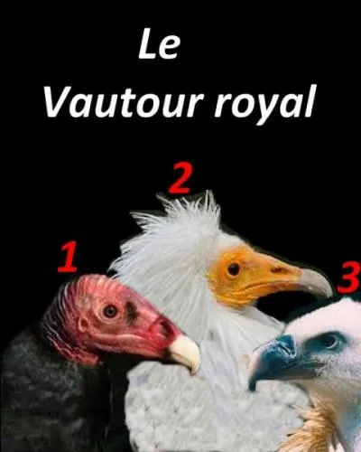 Quelle est la bonne réponse ?