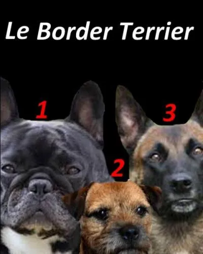 Quelle est, selon vous, la réponse correcte ?