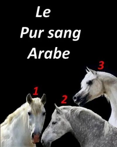 Choisissez la bonne réponse.