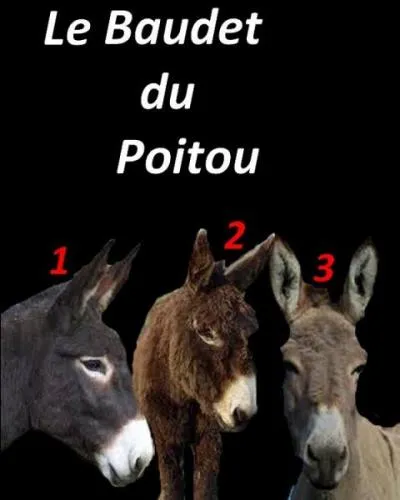 Trouverez-vous la bonne réponse ?