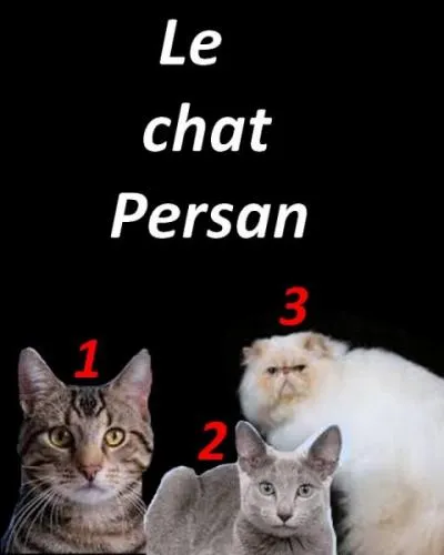 Sélectionnez la bonne réponse.