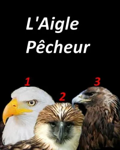 Quelle est la réponse correcte ?