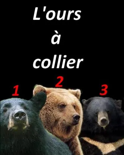 Laquelle est la bonne solution ?