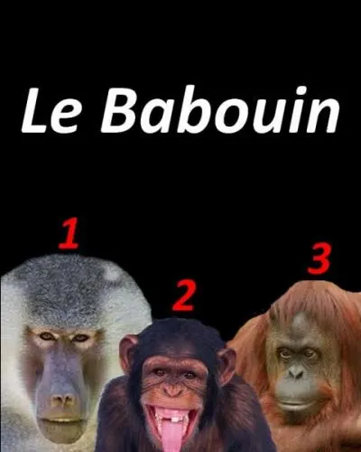 Cochez la bonne réponse.