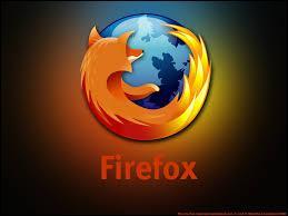 Puisque vous possédez un ordinateur, vous avez forcément entendu parler de "Firefox". Qu'est-ce donc au juste ?