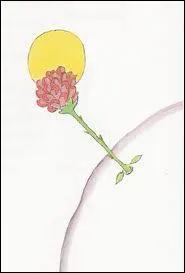 Quelle fleur le Petit Prince aime-t-il ?