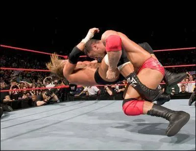 Quelle est cette finition ?