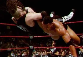 Quelle est cette finition ?