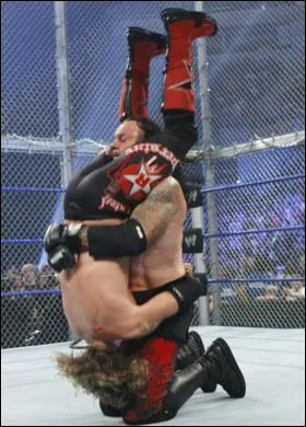 Quelle est cette finition ?