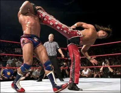 Quelle est cette finition ?