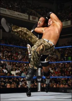 Quelle est cette finition ?