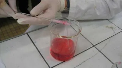 Comment qualifie-t-on une espèce fabriquée en laboratoire ?