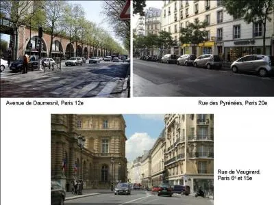 Sans prendre en compte le boulevard périphérique et la voie Georges Pompidou, quelle est la voie la plus longue de Paris ?