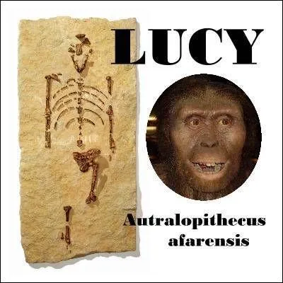 « Guenuche ». Que vous évoque ce mot ?