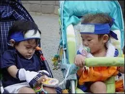 Attention les yeux, voici Naruto et Sasuke quand il étaient petits ! Où sont-ils ?