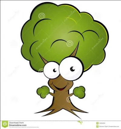 Si vous n'avez aucune tolérance envers l'auteur de ce quiz qui a oublié une petite virgule, il ne fallait pas regarder deux....