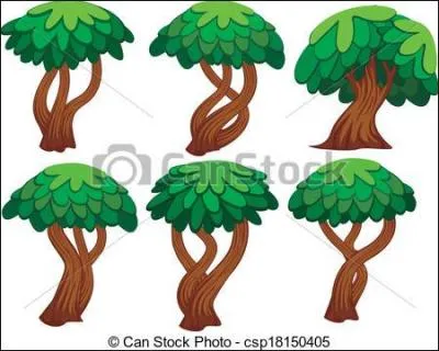 Si vous voulez réussir ce quiz, il va falloir vous creuser le nom de ces six arbres :