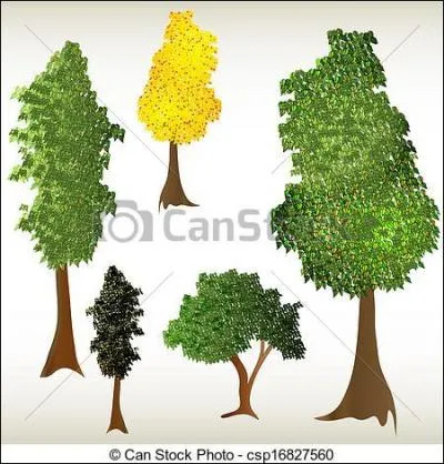 Trouvez les, il en manque deux mais ils sont capitaux :