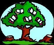 Au passé, cet arbre peut se transformer en fut :