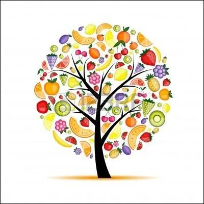 Quel est cet arbre qui ne va pas vous ouvrir les portes du Paradis ?