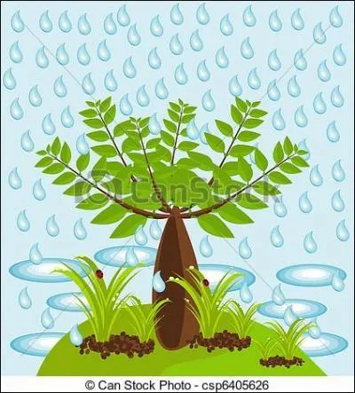 Il pleut sur Nantes, quel est cet arbre que vous serez content de rencontrer ?