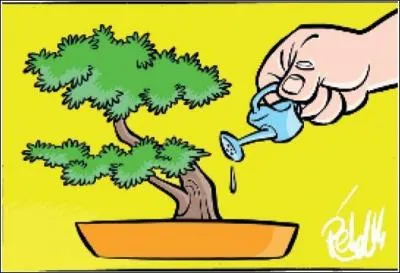 Vous êtes comme cet arbre, si vous êtes paumé dans les questions de ce quiz !