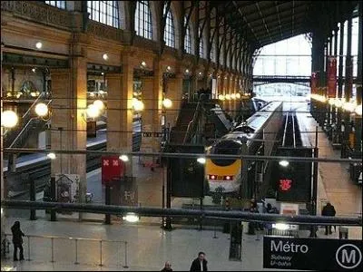 La gare du Nord (Paris) est la plus grande gare d'Europe.