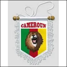 De nombreuses équipes de football africaines ont un surnom. Celui des joueurs de la sélection camerounaise est :