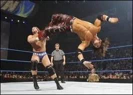 Quel est ce sport de lutte ?