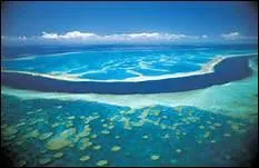 La grande barrière de corail se situe au large de l'Afrique du Sud.