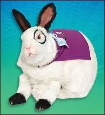 Il a le pouvoir de parler. Qui est-ce ?