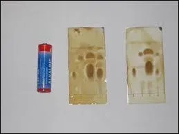 Laquelle de ces informations est erronée concernant le rapport frontal ?