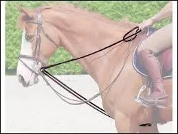 Comment s'appelle ceci ?