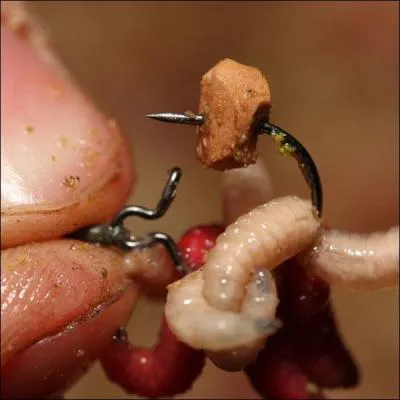 Qui a écrit : "Invoquer sa postérité, c'est faire un discours aux asticots" ?