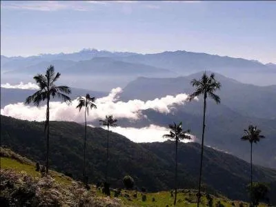 Quel est le pays le plus au nord du continent Sud-Américain ?