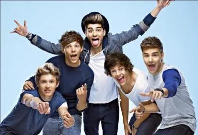 Qui a créé le groupe "One Direction" ?