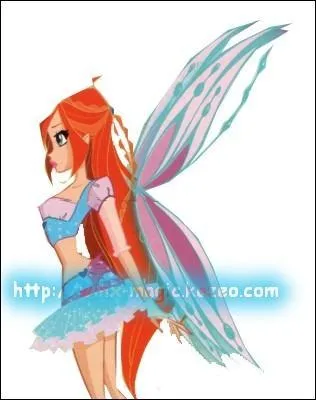 À qui appartient Kiko ?