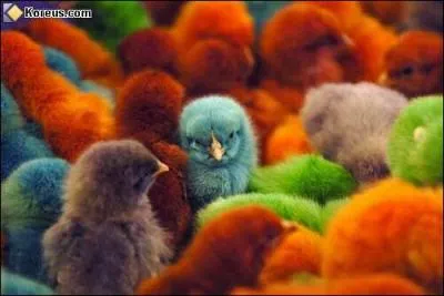 Trop chou ! Mais s'agit-il d'un montage ?