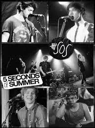 Quel est le nom du chien de Luke Hemmings ?