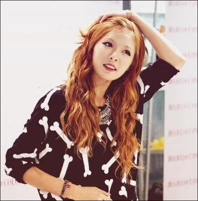 Combien de tatouages a Hyuna ?