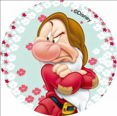 Etant donc de mauvaise humeur, auquel des 7 nains de blanche-Neige vous fais-je penser ?