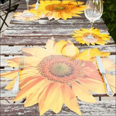 Je choisis un homonyme de 7 : Quelle fleur représente ce magnifique set de table ?