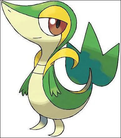 Quel type de Pokémon est-ce ?