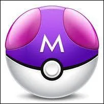 Comment s'appelle cette Pokéball ?