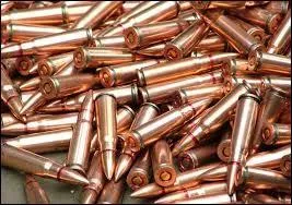 Selon vous, le fait de tuer un animal domestique par balle est-il considéré par le Code pénal comme un acte de cruauté ?