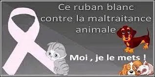 Lors d'une condamnation pour « mauvais traitements » envers un animal, les peines encourues sont :